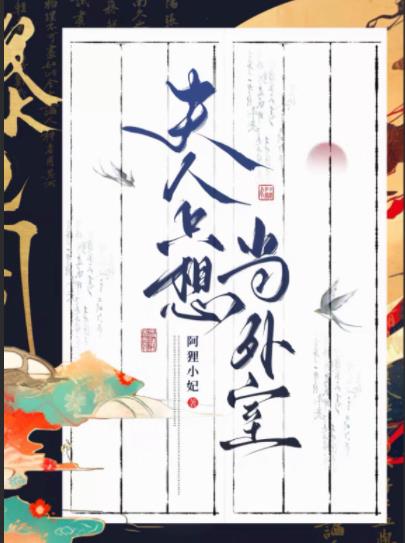 夫人只想当外室